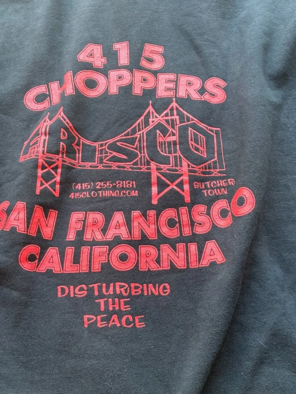 Y2K Grail Frisco Choppers Skull Hood Flame Sleeve Full Zip Hoodie